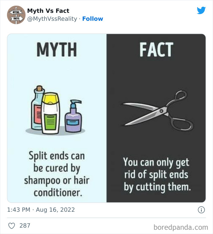 Myths-vs.-Facts