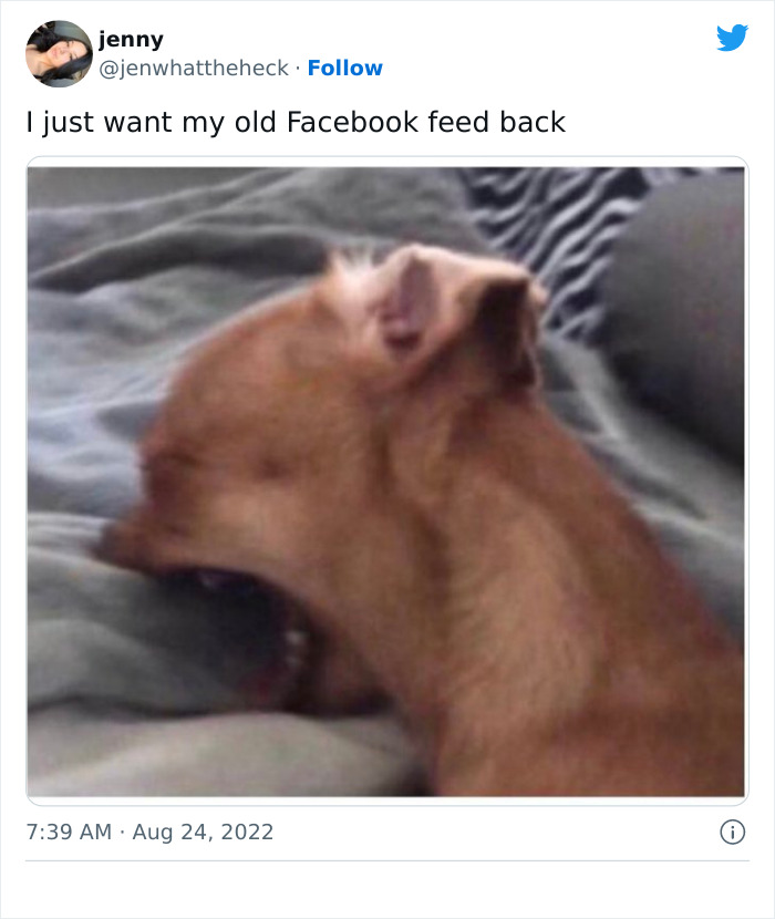 Facebook-Glitch-Celebrity-Feed-Reactions