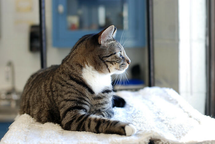 “What’s Your ‘Sir, This Is A Wendy’s’ Moment?” (30 Answers)