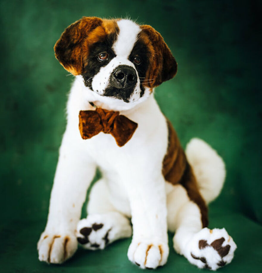 I’m Creating Pets And Animals By Hand, Only Using Needle, Thread And Faux Fur