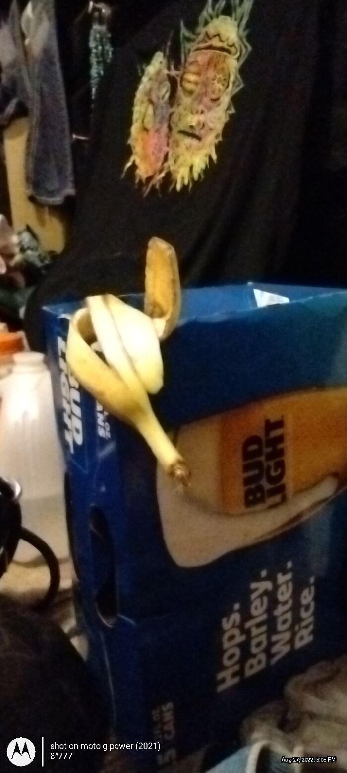 Used To Argue With My Parents About Cleaning My Room When I Was Little (6yro, 7yro, 8yro, Etc...), "But Daddy/Mommy! Humans Throw Their Trash Around Earth And They Don't Pick It Up!" My Parents Would Reply With, "Well, You Can Be The One To Make Them, After You Practice Cleaning Your Room!"