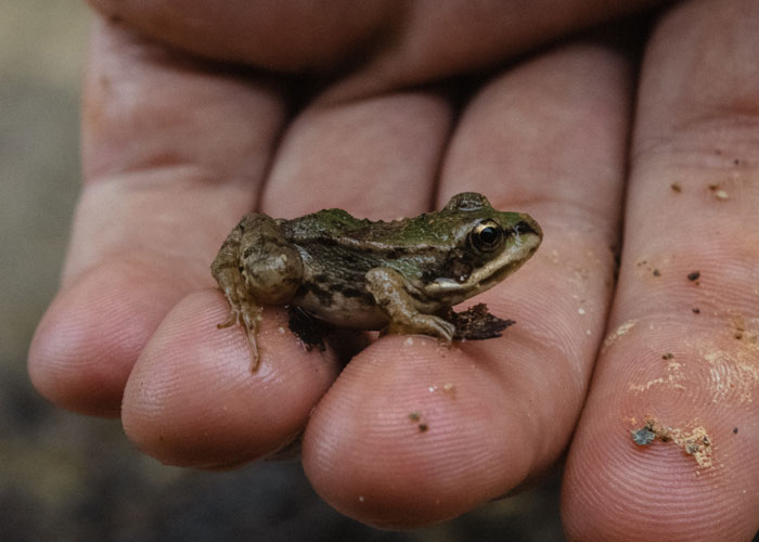 35 Mundane, Surprising Or Extraordinary Things That Made People Very Happy