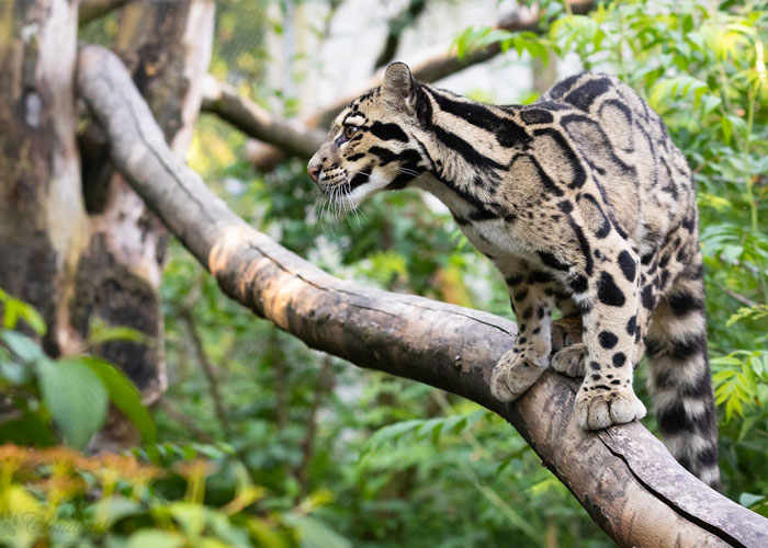 People Are Sharing 30 Of The Most Underrated Travel Destinations Around The World