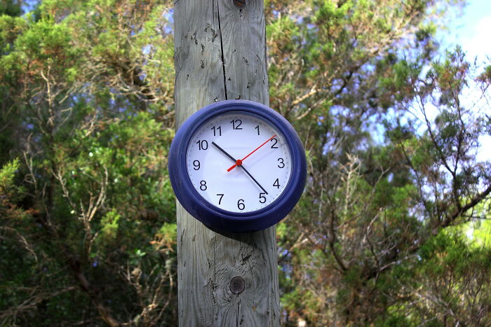 20 Personas sorprendiéndose a sí mismas con su nivel de estupidez