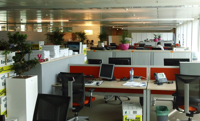 "Smallest Girl Out Of All Of Us Volunteered To Be The Bait": Employees Collect Evidence And Create A Plan To Get Rid Of Their Toxic Boss And Succeed