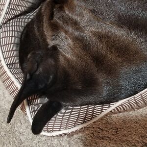 jacobson_eric avatar