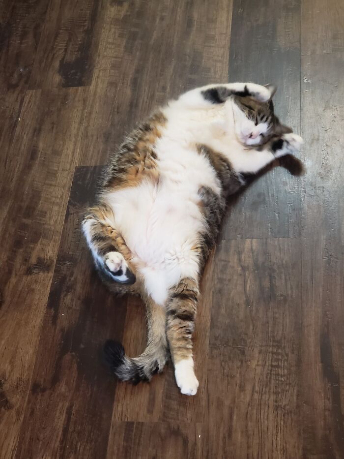 Check Out Those Dance Moves