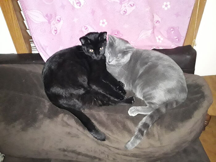 Mother/Son Bonding Time