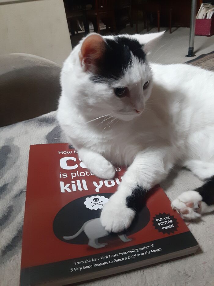 Uh Oh She's On To Me