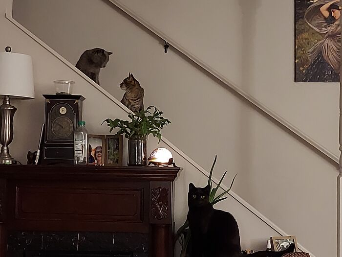 Successful Plotting Sessions Must Always Have A Lookout