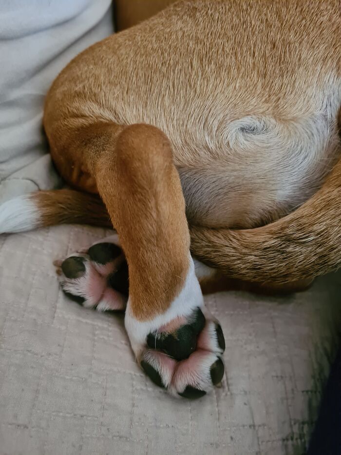 Elegant Even When Sleeping