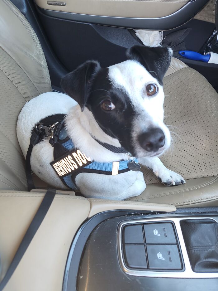 The Best Nervous Guy In The World. Rated 1000/10 By Me, His Momma