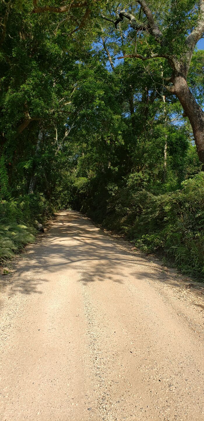 Digital Photography (From My Samsung Galaxy S9+,) The Hobbit Road By My House
