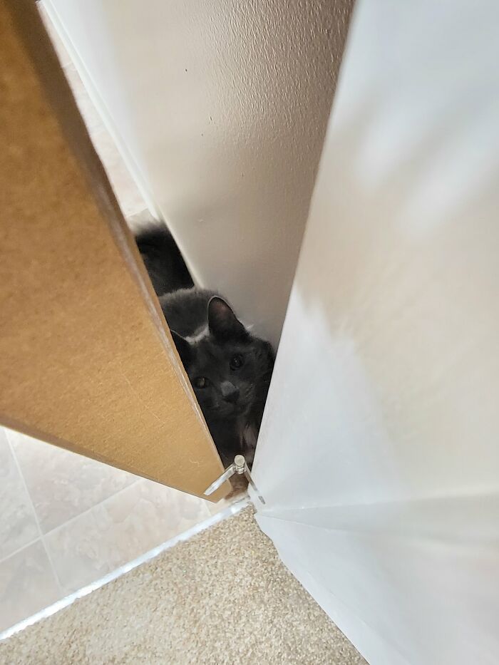 Lucas Likes To Hide Behind The Bathroom Door And Jump Out