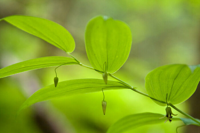 30 Things Science Hasn’t Proven Yet But Folks In This Online Group Have A Hunch Are True Anyway - 16