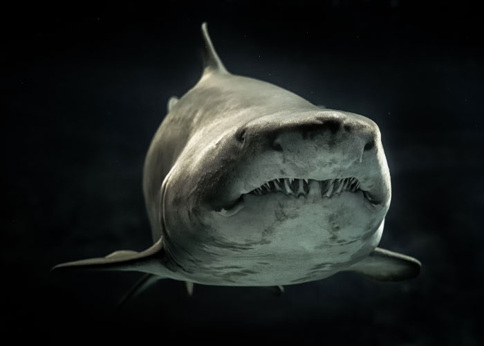 Divers Reveal 50 Disturbing Discoveries Underwater They Will Probably Never Be Able To Explain