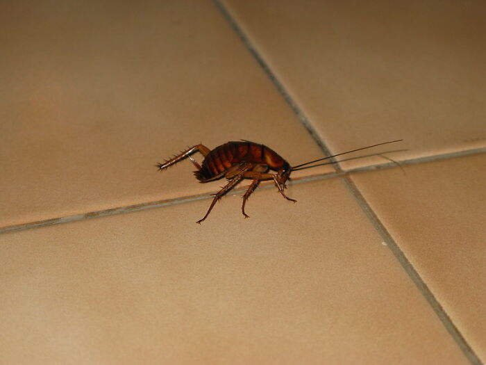 35 Strange Secret Rooms These People Found In Their Homes, Shared In This Online Thread