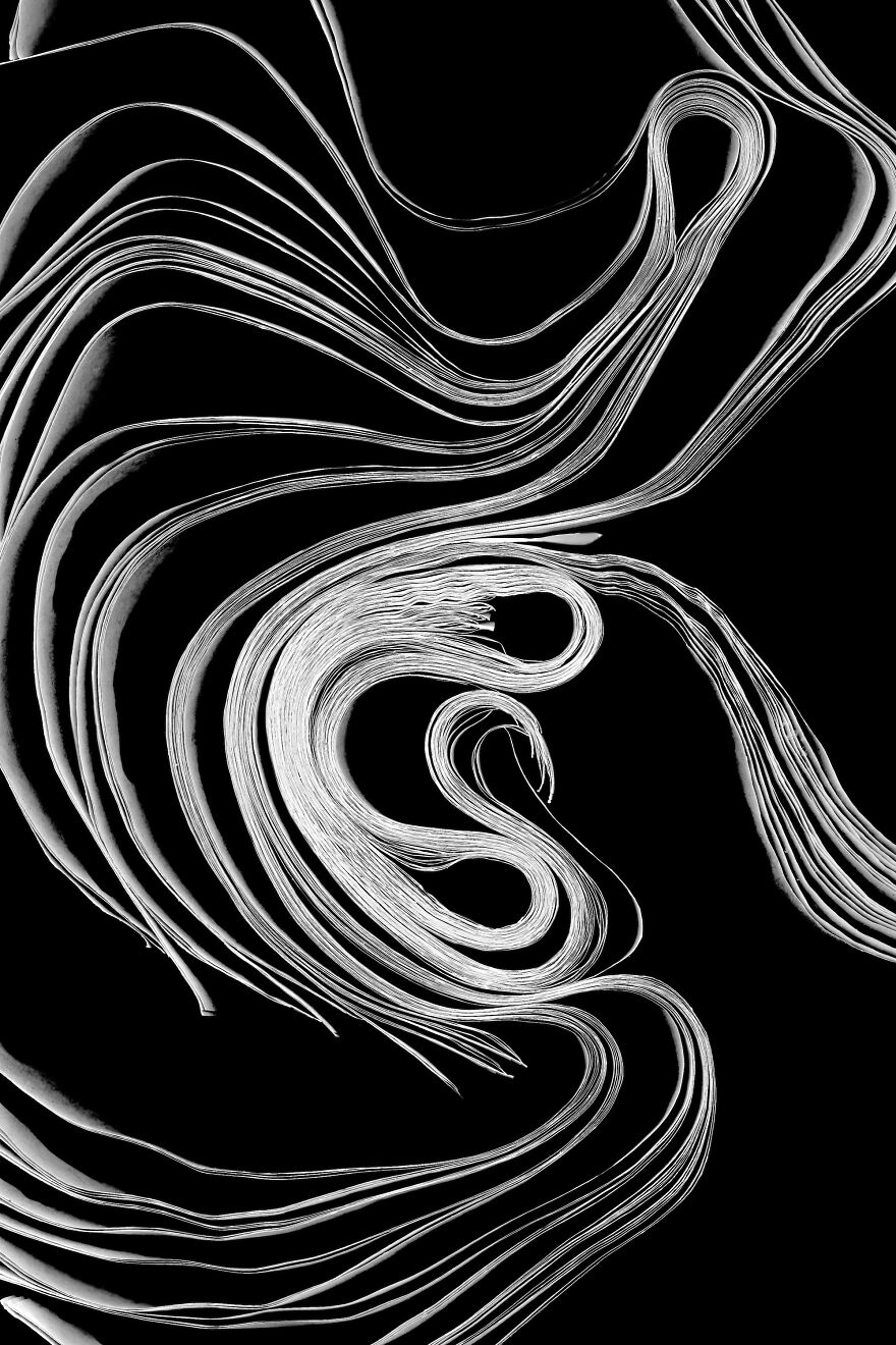 "Birth" © Lynn Savarese (United States)