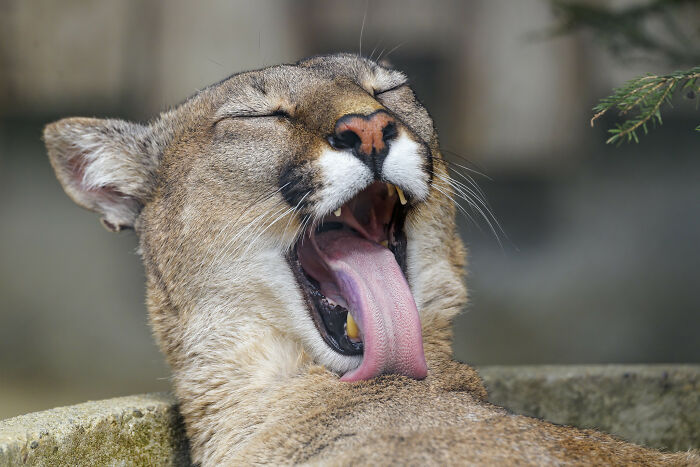 30 Things Science Hasn’t Proven Yet But Folks In This Online Group Have A Hunch Are True Anyway - 21