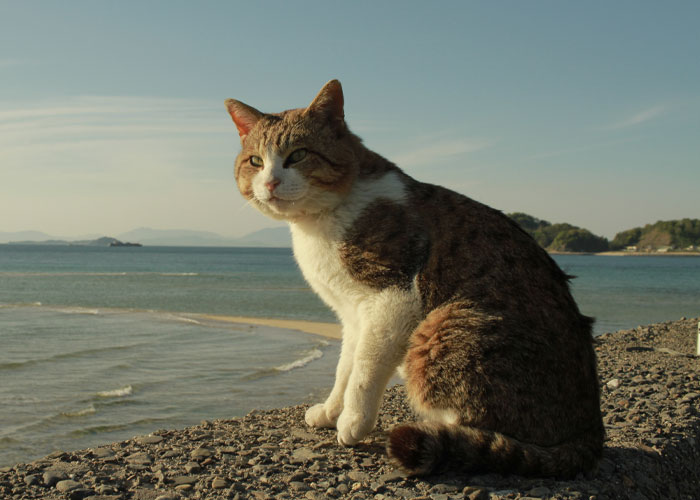 Divers Reveal 50 Disturbing Discoveries Underwater They Will Probably Never Be Able To Explain