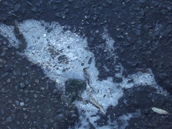 30 Things Science Hasn’t Proven Yet But Folks In This Online Group Have A Hunch Are True Anyway - 19