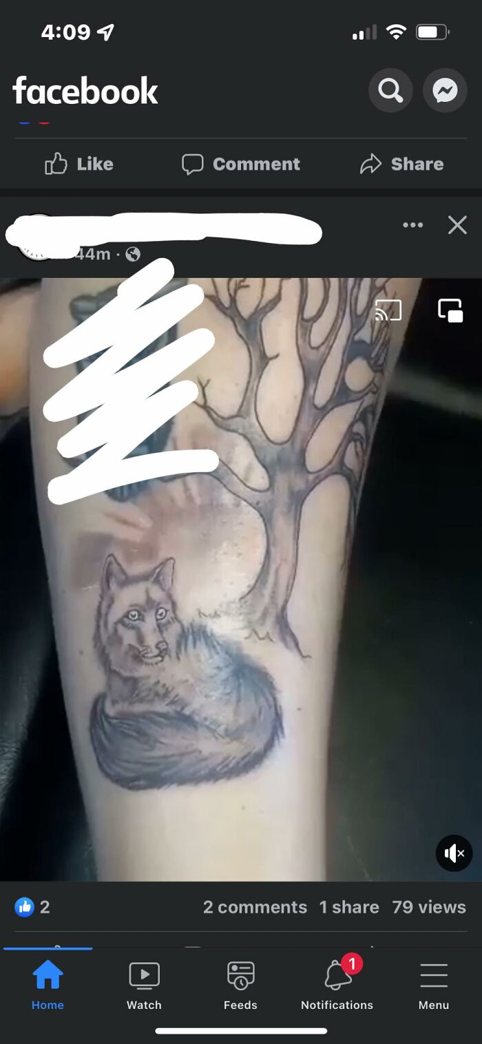 Ese lobo ha visto cosas