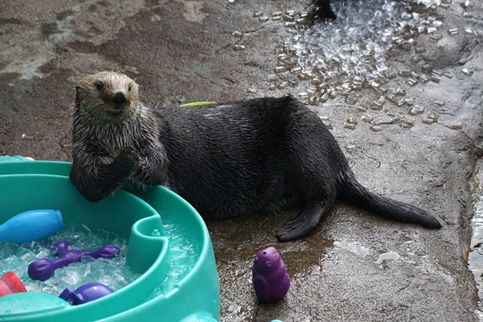 Folks Travel For Miles Just To See This Smile