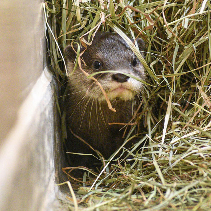 Peekin' Out At Monday Like