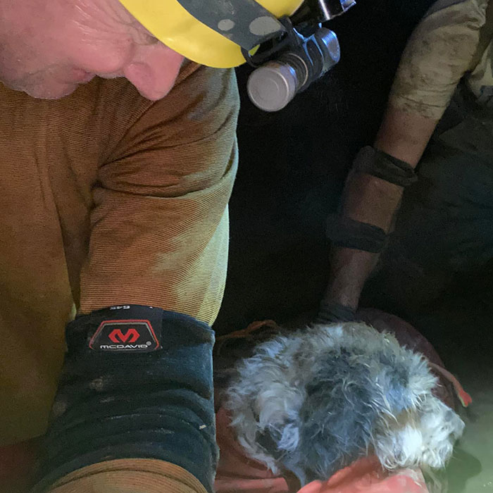 Poodle Reunites With Owner 2 Months After Disappearing As Cavers Find Her 500 Feet Underground Poodle Reunites With Owner 2 Months After Disappearing As Cavers Find Her 500 Feet Underground