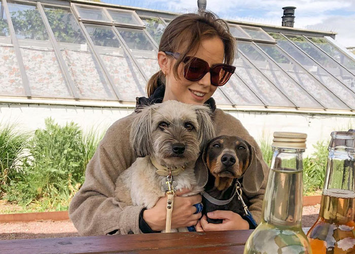 Video Of Introverted Dogs Meeting Up Has Melted Hearts All Over The Internet And Made People Say “Relatable!” - 3