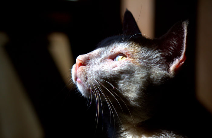 30 Times When People Received Hate For The Weirdest Things Ever, As Shared In This Online Community