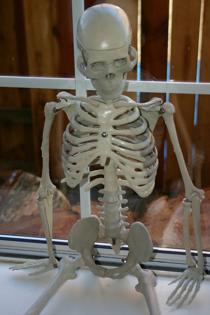 35 Strange Secret Rooms These People Found In Their Homes, Shared In This Online Thread