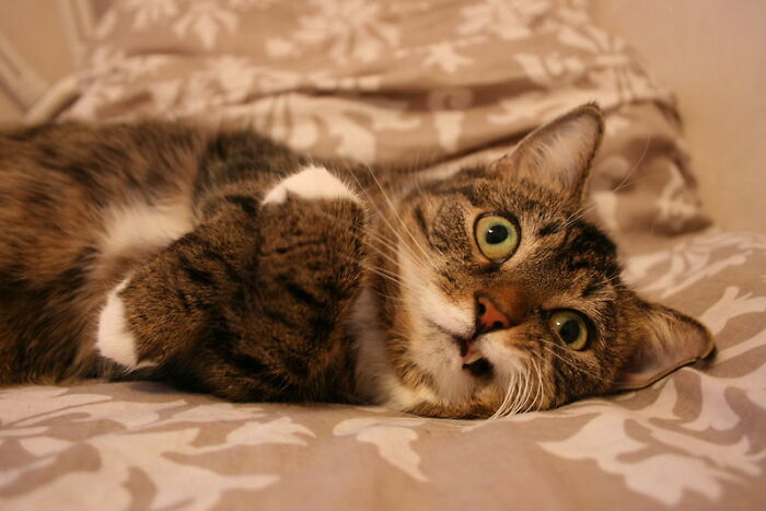 45 Men Admit Which Things Usually Considered To Be "Unmasculine" They Really Enjoy