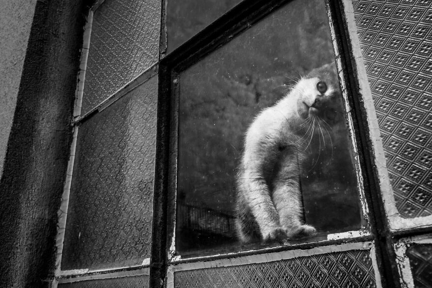 Untitled © Radoslaw Lowicki (Poland)