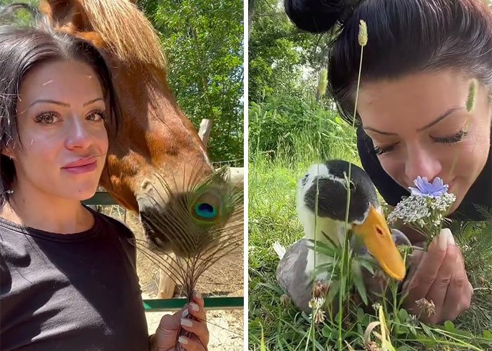Millions Of People Can’t Get Enough Of The ‘Useless Farm’s’ Animals, Especially An Emu Named Karen, Who’s Out For Blood Millions Of People Can’t Get Enough Of The ‘Useless Farm’s’ Animals, Especially An Emu Named Karen, Who’s Out For Blood