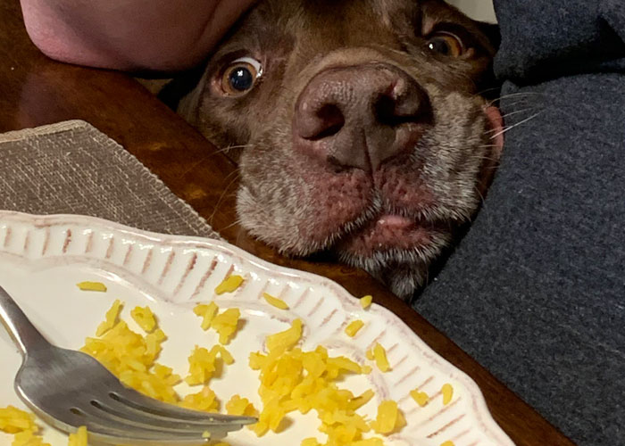 35 Times People Said "Nope, I'm Never Coming To This House Again" When Visiting Someone