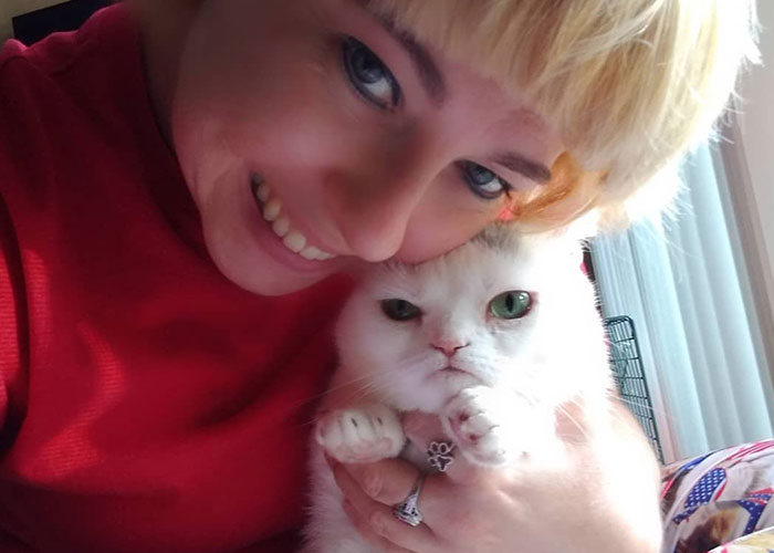 Sassiest Dwarf Kitten Comes Into Woman's Home, Steals Her Heart And Becomes Internet Sensation