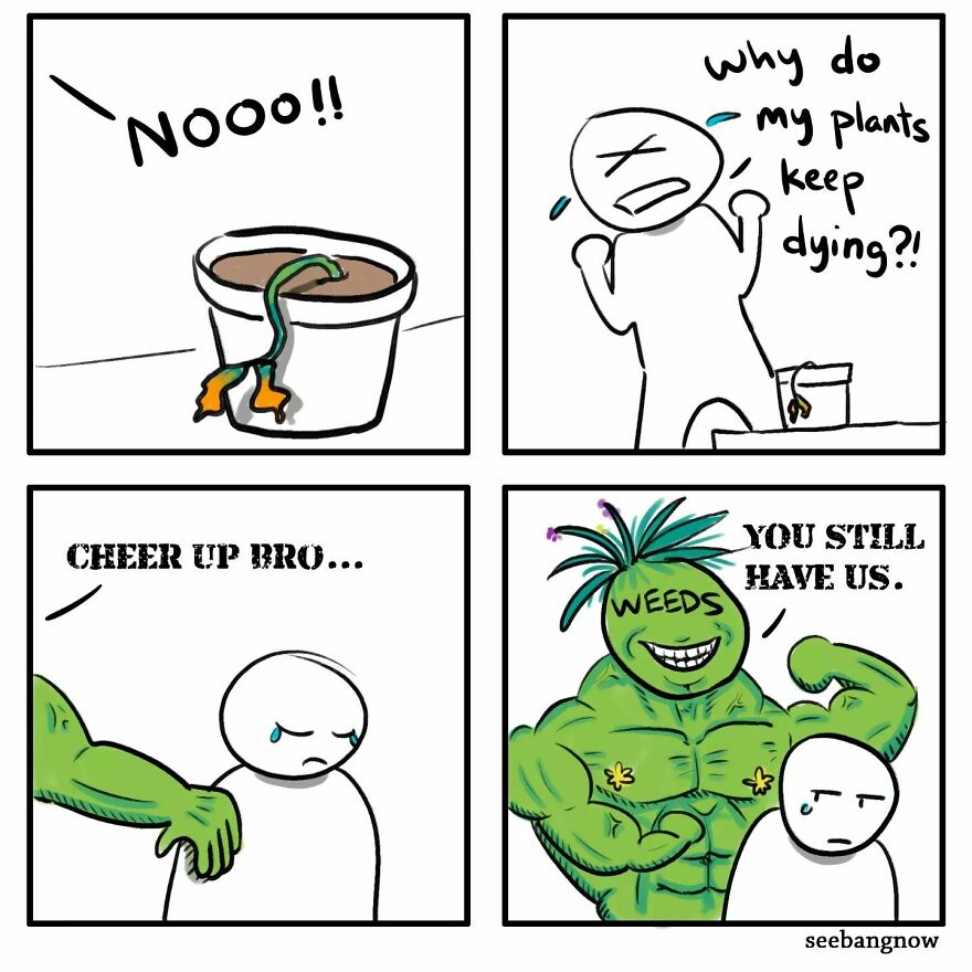 40 Dark Comics With Funny Twists By Xibang