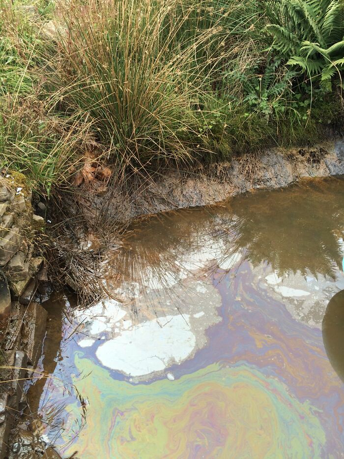 35 Random Jaw-Dropping Facts, As Shared In This Online Group