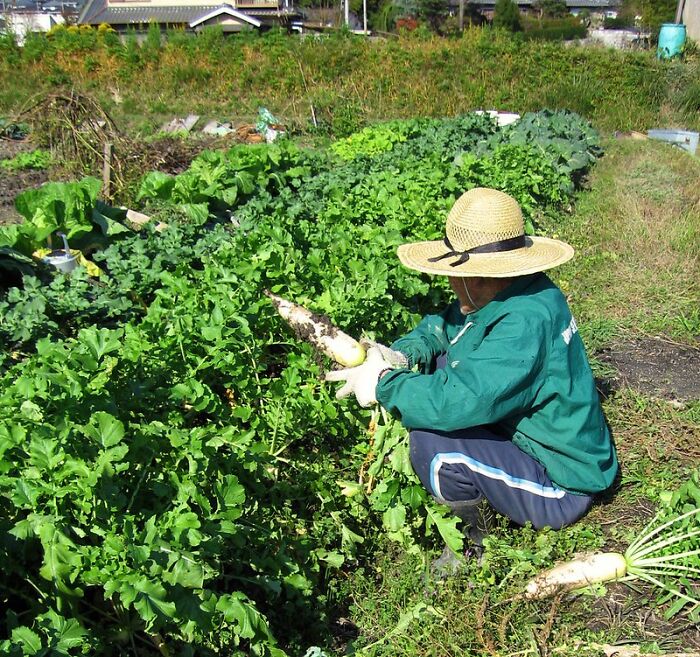 30 Of The Most Interesting Answers To "What Are People Stupidly Proud Of?" Posted In This Online Group