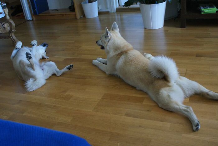 45 Of The Pettiest Beliefs People In This Online Group Would Stand By, No Matter What