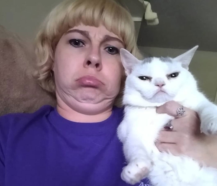 Sassiest Dwarf Kitten Comes Into Woman's Home, Steals Her Heart And Becomes Internet Sensation