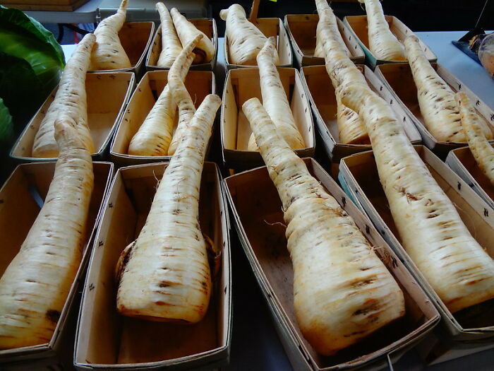 30 Times People Were Disgusted By Someone’s Home Cooking, As Shared In This Online Community