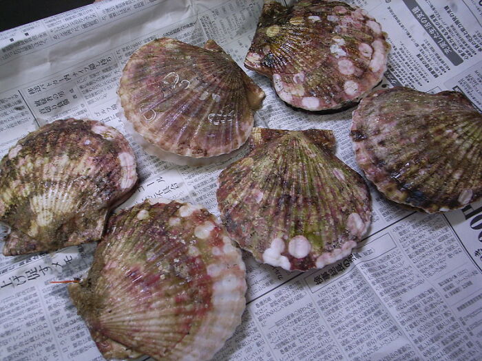 Person Asks "What Dishes Do Professional Chefs Dislike Preparing At A Restaurant?", Gets 30 Various Responses