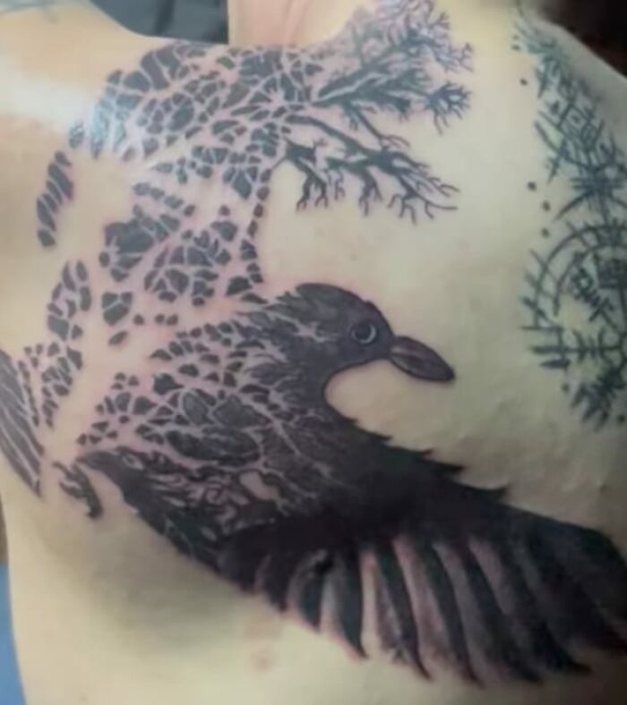 Black Coffee Bean Pigeon