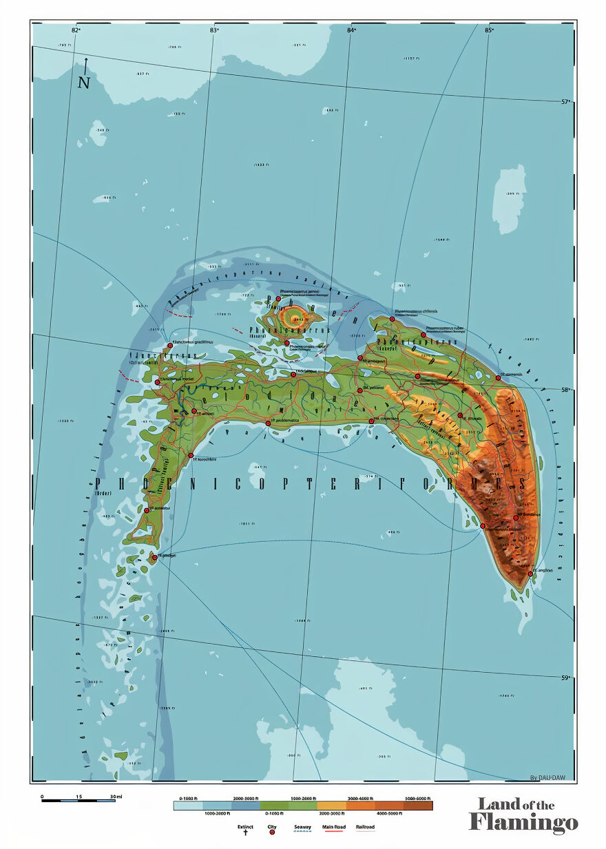 Phoenicopteriformes - Land Of The Flamingo