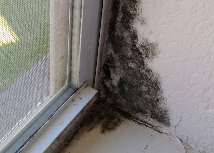 30 People Reveal "Dirty Little Secrets" About The Industries They Work In That Companies Try To Hide From Customers