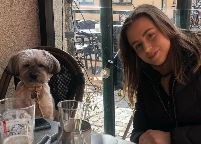 Video Of Introverted Dogs Meeting Up Has Melted Hearts All Over The Internet And Made People Say “Relatable!” - 6