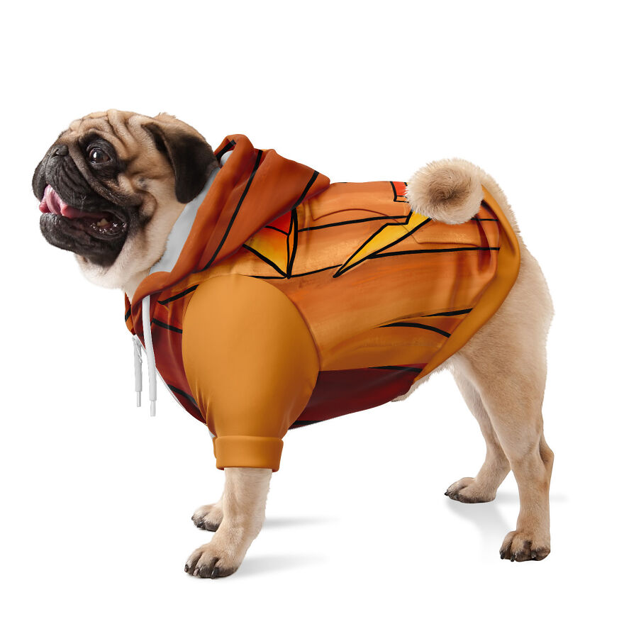 I Made Hiking Halloween Costumes For You And Your Dog