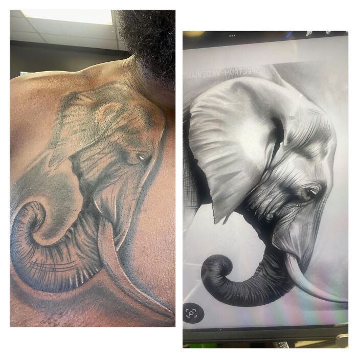 Someone Needs To Put That Poor Animal Out Of Its Misery